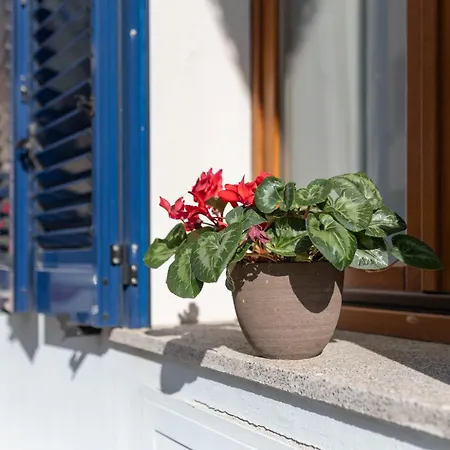Casa Luna Holiday home